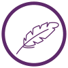 CURVELIshape